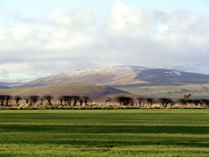 Self catering breaks at North Field Farmhouse in Glanton, Northumberland