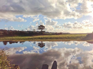 Self catering breaks at Trefwri in Newborough, Isle of Anglesey