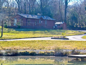 Self catering breaks at The Beeches in Narberth, Pembrokeshire