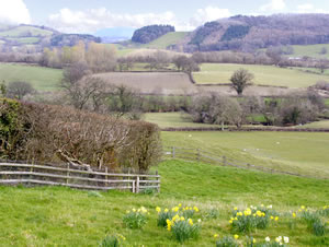 Self catering breaks at The Cottage in Llanfechain, Powys