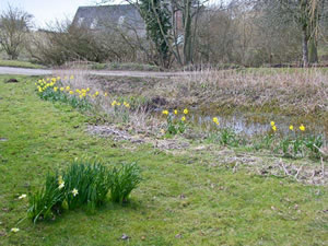 Self catering breaks at Sweet Briar Barn in Coltishall, Norfolk