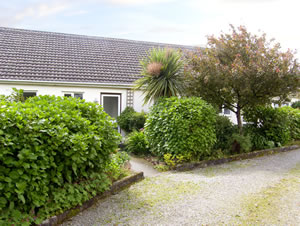 Self catering breaks at Camellia Cottage in East Taphouse, Cornwall