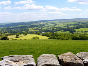 Self catering breaks at Wrens Nest in Lealholm, North Yorkshire