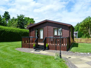 Self catering breaks at The Spinney Lodge in Jedburgh, Berwickshire