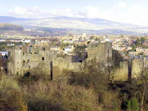 Self catering breaks at Manor Cottage in Ludlow, Shropshire