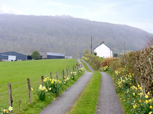 Self catering breaks at Ty Nant in Betws-Y-Coed, Conwy