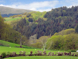 Self catering breaks at 2 Bryniau Bychain in Aberdovey, Gwynedd