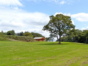 Self catering breaks at Cedar Log Cabin- Brynallt Country Park in Welsh Frankton, Shropshire