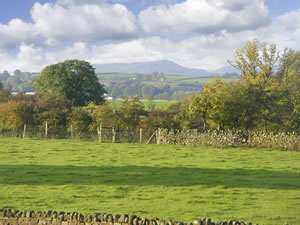 Self catering breaks at Swallows Nest in Penrith, Cumbria