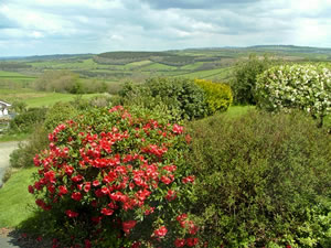 Self catering breaks at The Annexe- Pen-y-Bryn in Trekenner, Cornwall