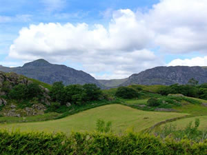 Self catering breaks at Gardeners Cottage in Manod, Gwynedd