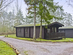 Self catering breaks at Meridian Lodge in Kenwick Woods, Lincolnshire