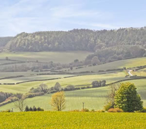 Self catering breaks at Thirley Cotes Cottage in Harwood Dale, North Yorkshire