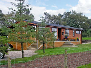 Self catering breaks at Fir Tree Lodge in Barras, Cumbria