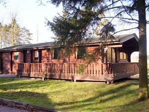 Self catering breaks at Field View Lodge in Kenwick Woods, Lincolnshire