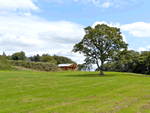 Cedar Log Cabin- Brynallt Country Park in Welsh Frankton, Shropshire