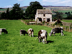 West Tofts in Mickleton, County Durham, North East England