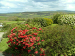 The Annexe- Pen-y-Bryn in Trekenner, Cornwall, South West England