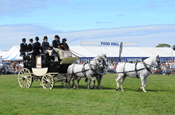 Edenbridge and Oxted Show