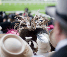 Royal Ascot Cottage Breaks Royal Ascot Cottage Breaks