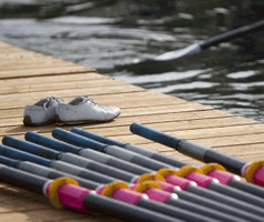 Goodwood Festival of Speed Cottage Breaks Henley Royal Regatta Cottage Breaks