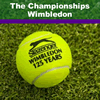 Wimbledon breaks