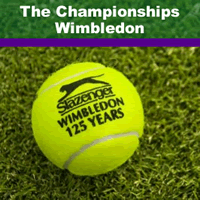 Wimbledon Tennis Championships Breaks