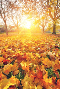 Autumn Cottage Breaks at Find Cottage Holidays Autumn Cottage Breaks at Find Cottage Holidays