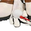 English Championship Golf Courses English Championship Golf Courses