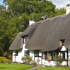 Thatched Holiday Cottages